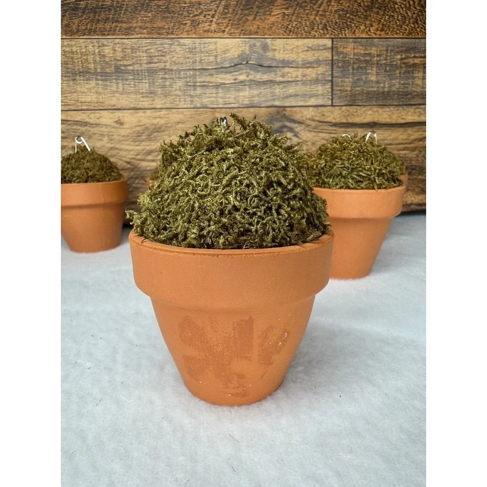 Williams‎ Sonoma Moss Topiary Flower Pot Place Card Holders Set of 7 Terracotta